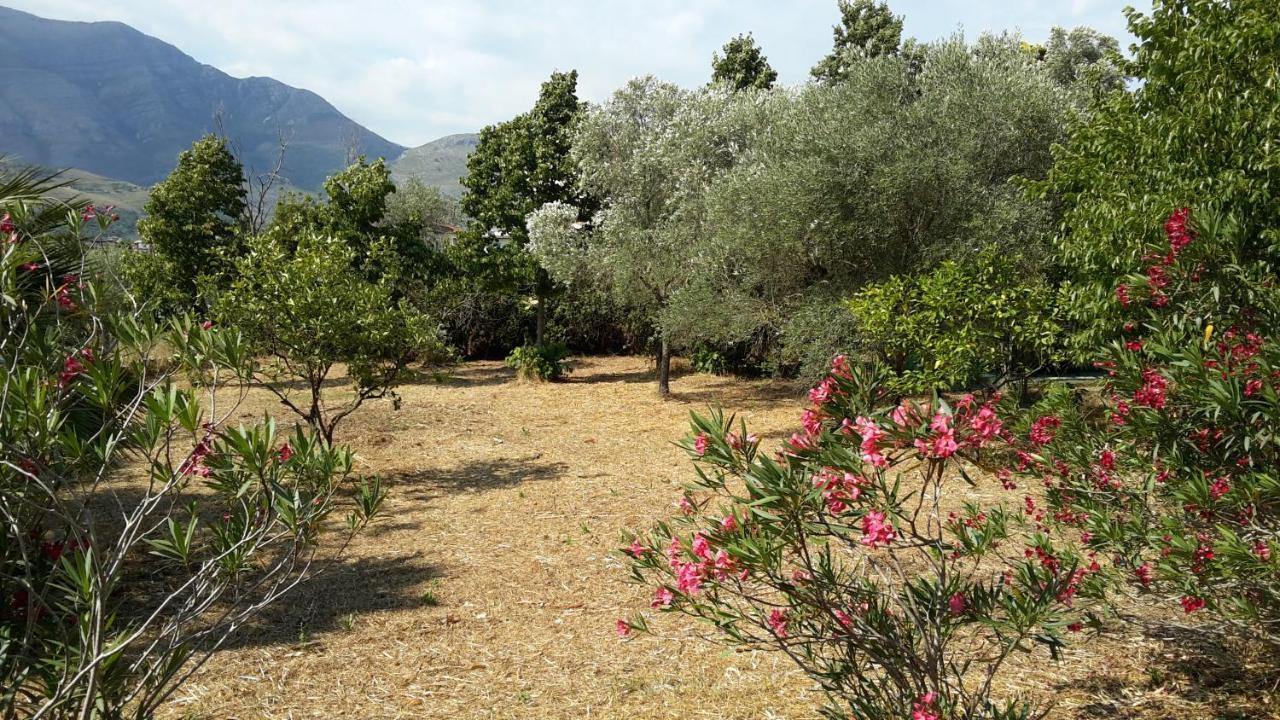 La Marina Gardens Beach Scauri  Buitenkant foto