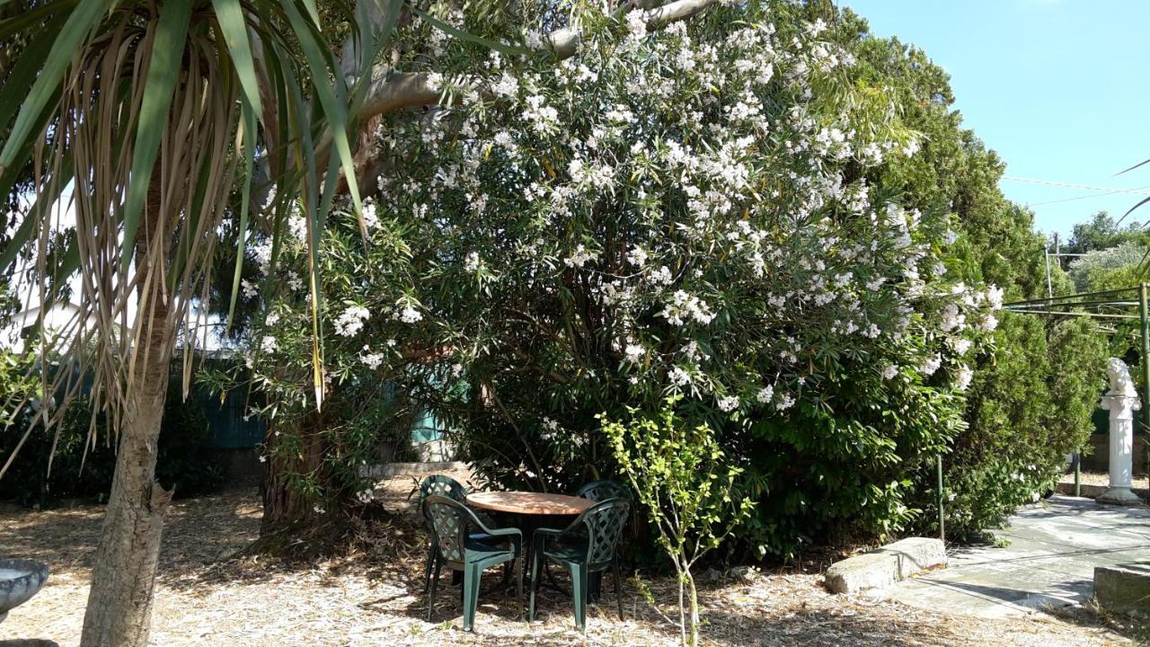 La Marina Gardens Beach Scauri  Buitenkant foto